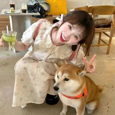 没有人强迫你爱我